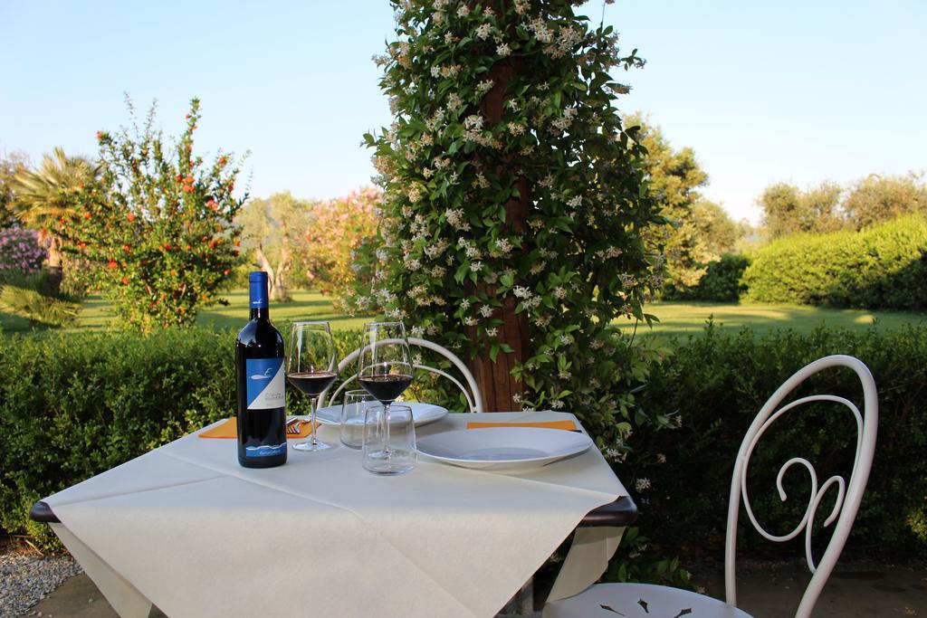 Agriturismo Eucaliptus Bolgheri Extérieur photo