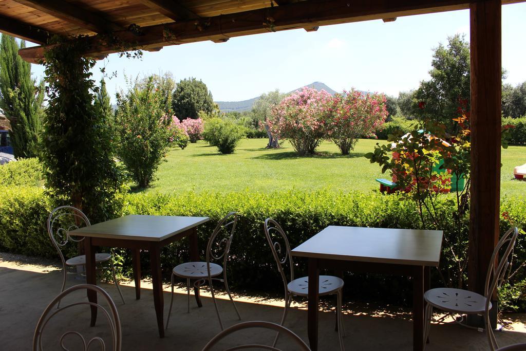 Agriturismo Eucaliptus Bolgheri Extérieur photo