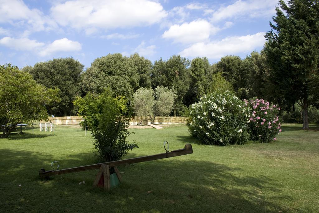Agriturismo Eucaliptus Bolgheri Extérieur photo