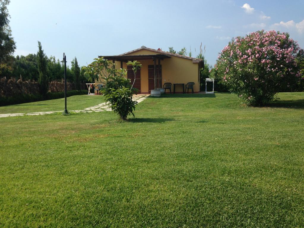 Agriturismo Eucaliptus Bolgheri Extérieur photo