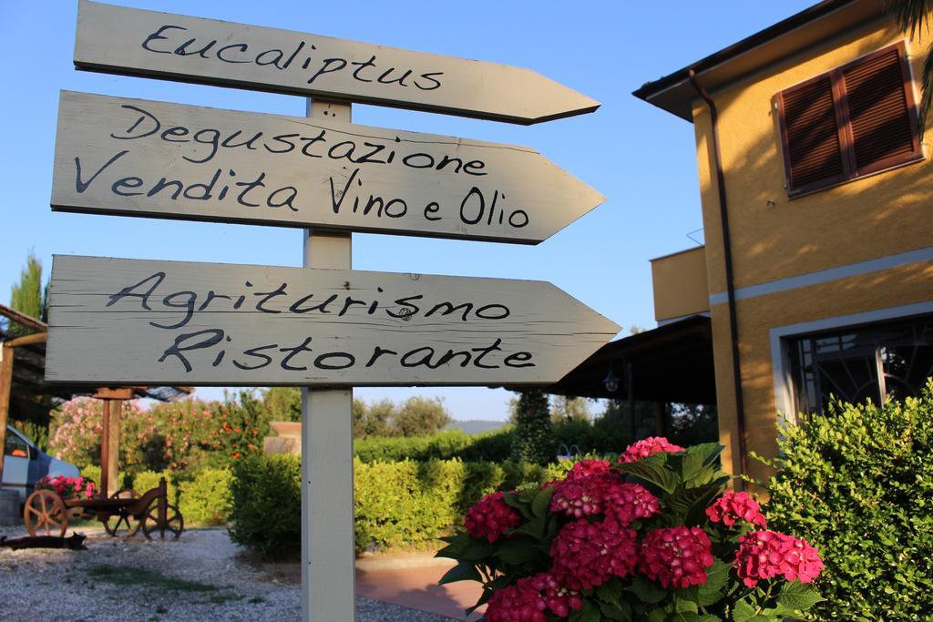 Agriturismo Eucaliptus Bolgheri Extérieur photo