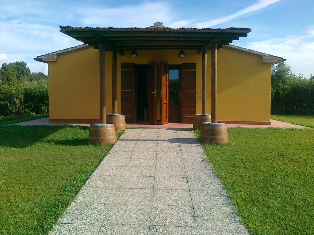 Agriturismo Eucaliptus Bolgheri Extérieur photo